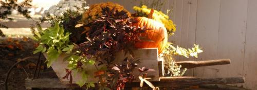 wagon planter