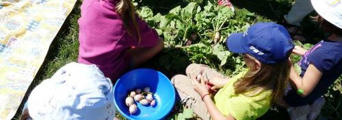 kids working in the garden