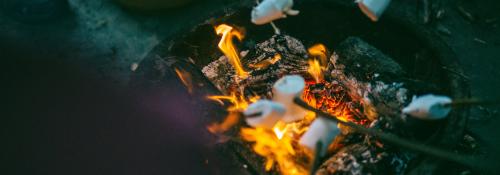 roasting marshmallows