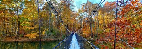 Suspension Bridge by Reenie Beenie