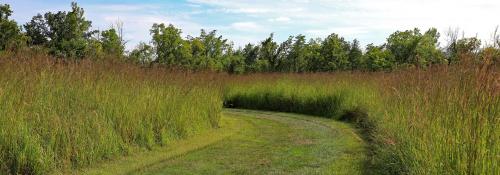 Trail through prairie