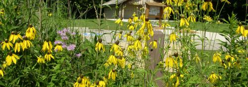 wildflowers restroom