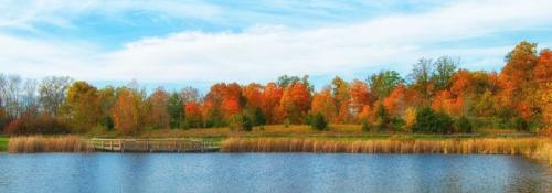 pond in fall by Brian Rice
