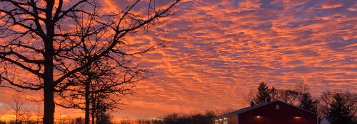 Sunrise from entrance lane