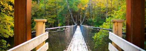 Suspension Bridge Wyatt