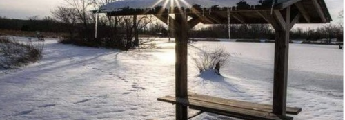 pond table in snow