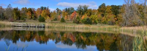 pond by Colleen Pearson