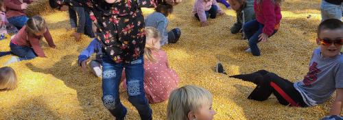 Corn pit